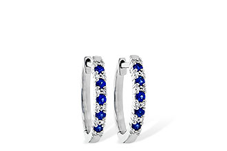 B226-40429: EARR .24 SAPP .30 TGW