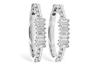 M309-14065: EARR .20 TW BAGUETTES